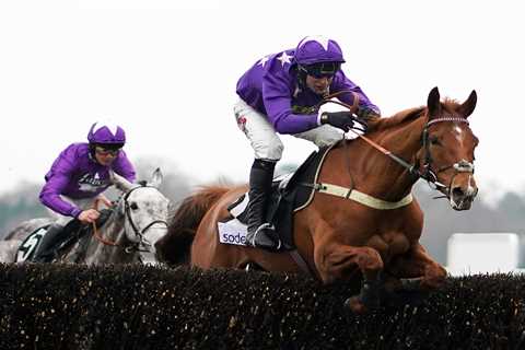 Genius punter who won £250,000 at Cheltenham off a fiver reveals Grand National tip he likes the..