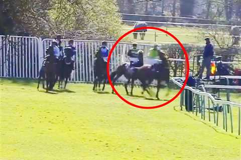 Controversial 100-1 winner at Fontwell as punters fume race should have been VOIDED after..