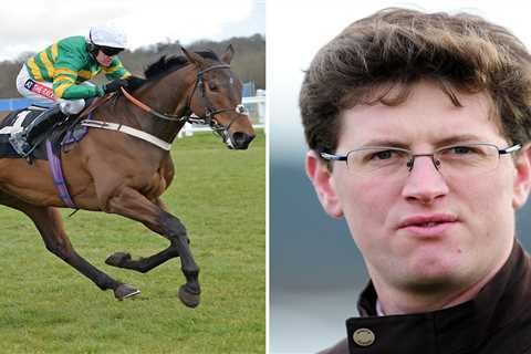 Cheltenham Festival runner disqualified and ordered to hand over £21,000 in winnings after ‘very..