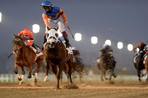 Devastated trainer hugged stricken horse as vets put it down just seconds after winning biggest..