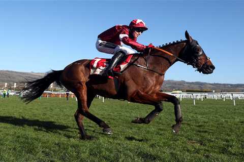 Grand National hero Tiger Roll odds slashed from 14-1 to 11-2 for Irish version after snubbing..