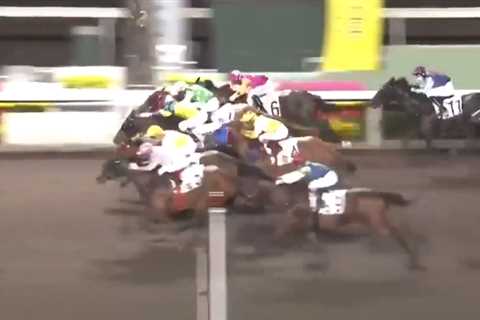 Watch dramatic four-horse photo finish where huge 40-1 outsider dead-heats against strong 6-4..