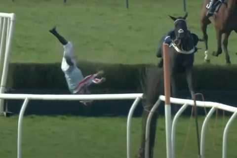 Watch jockey get flung upside-down over hurdle in spectacular fall that shocks punters watching..