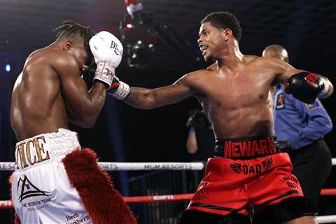 Shakur Stevenson aiming to become FIVE-WEIGHT world champion but sets immediate sights on WBC champ ..