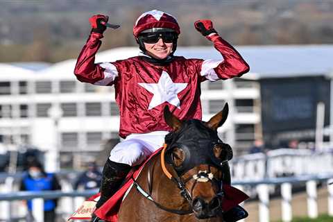 Still no decision on Tiger Roll Irish Grand National or Aintree run as owners keep cards close to..