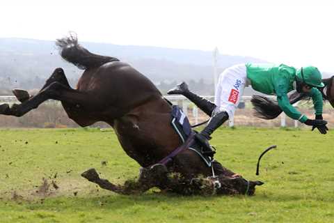 Watch dramatic moment horse and jockey both crash through plastic wing next to jump at Uttoxeter