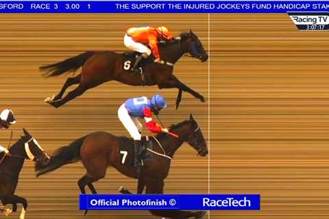 Punters left scratching heads after winner called on the narrowest of photo finishes at Chelmsford