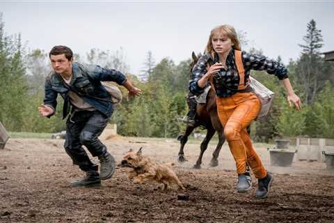 Chaos Walking release date – how to watch in the UK and US