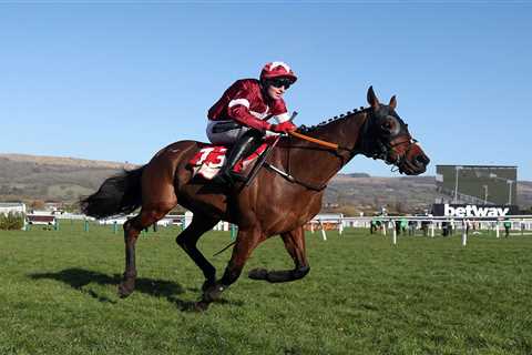 Tiger Roll to MISS Irish Grand National and run at Aintree in Betway Bowl as owners again complain..