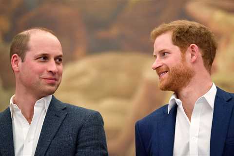 Prince William’s rift with Harry is ‘hardest thing he’s been through’ since mum Diana died, royal..
