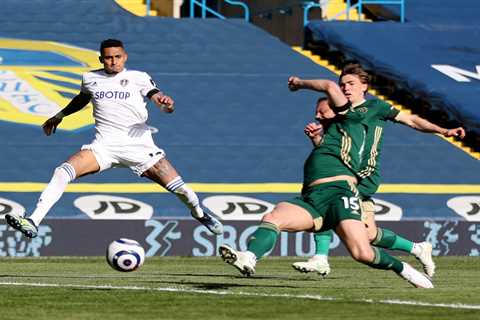 Leeds 2 Sheff Utd 1: Jagielka own goal earns Whites vital Yorkshire derby win to keep faint..