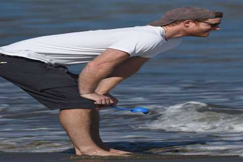 Prince Harry flips his baseball cap on seaside dog walk as he settles into the LA lifestyle after..