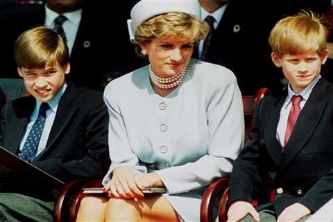 Prince Harry and William ‘put differences aside’ to sign off Princess Diana statue