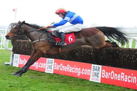 Bargain £1500 buy Court Maid has Tom Mullins dreaming of Irish Grand National glory at Fairyhouse