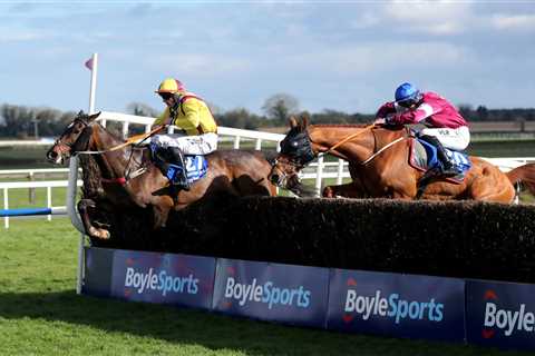 Punters shell-shocked as 150-1 outsider Freewheelin Dylan causes biggest upset in history of Irish..