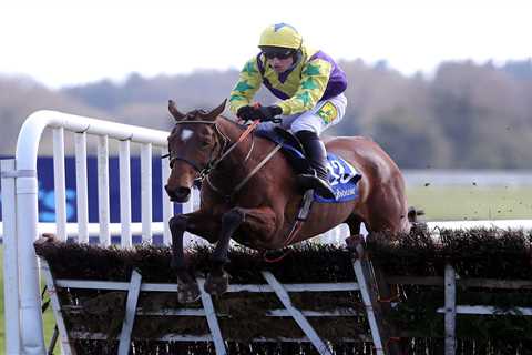 Amazing Grade 1 winner Skyace cost just £600 and has now won over £100,000 for her trainer ‘Shark’..