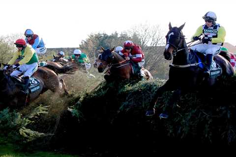 Grand National 2021 runners: Latest line-up and odds announced ahead of Aintree race on Saturday
