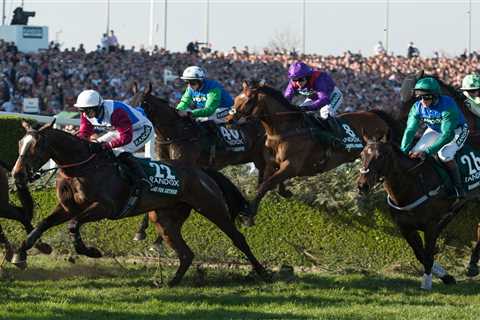 Grand National 2021: Pick a winner with our easy five-step guide plus a horse that matches each key ..