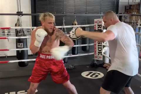 UFC star Vettori offers to beat up Jake Paul for FREE and sends chilling warning about ‘locking’..
