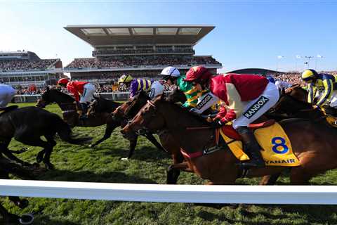 Grand National market mover Some Neck plummets in price as favourite Cloth Cap steady ahead of..