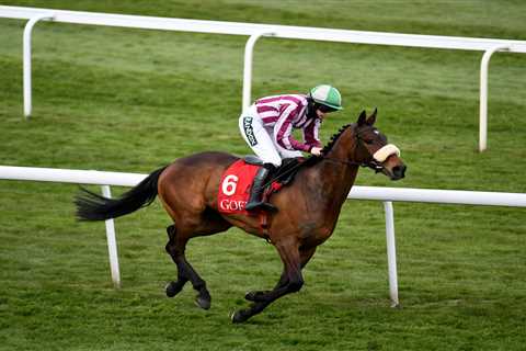 5.15 Aintree 2021 result – day 1: Who won Mares’ Flat Race? How every horse finished at Grand..