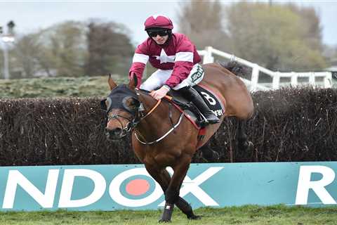 Tiger Roll connections investigated by Aintree stewards to explain ‘tenderly handled’ run by star..