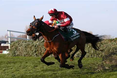 Grand National hero Tiger Roll has ‘no chance whatsoever’ of winning on Aintree return, says Eddie..