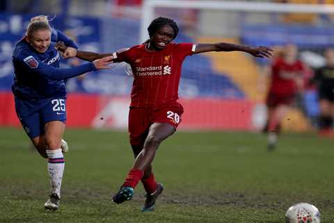 Women’s football aces call on social media firms to root out racially abusive accounts