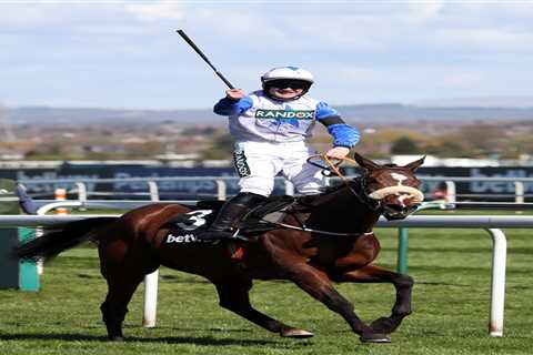 2.20 Aintree 2021 result – day 2: Who won Novices’ Hurdle? How every horse finished at Grand..