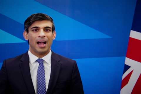 Rishi Sunak promised David Cameron he would ‘push’ his plan for taxpayers’ cash to prop up his firm