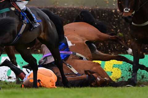 Jockey Lorna Brooke rushed to hospital in air ambulance after horror ‘faceplant’ fall at Taunton