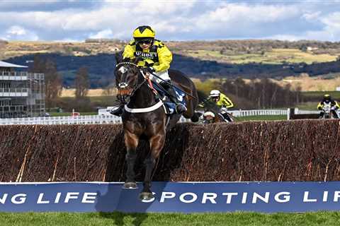 3.00 Aintree 2021 result – day 3: Who won Novices’ Chase? How every horse finished at Grand..