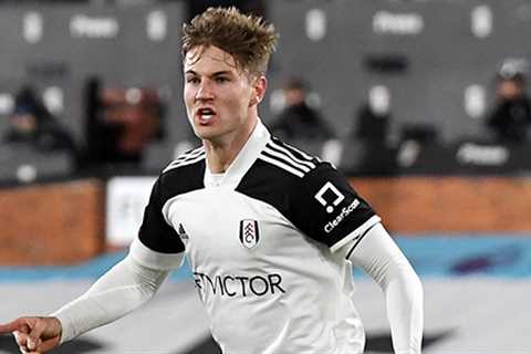 Man Utd and Tottenham set for transfer battle over on-loan Fulham defender Joachim Andersen as Lyon ..