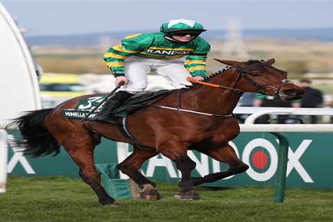 Who won Grand National 2021? 5.15 Aintree result, fallers, places, where EVERY horse finished