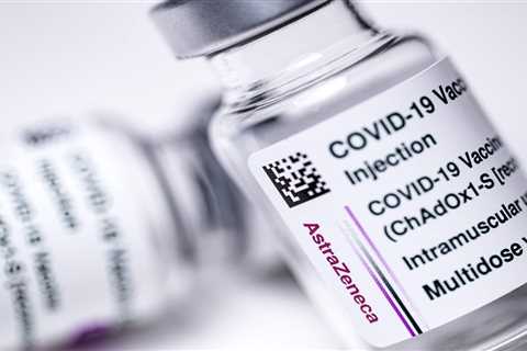Covid vaccine passports will be short-term ‘bridge to freedom’ &amp; used for mass gatherings..
