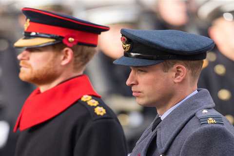 Prince Harry ‘will not wear military uniform at Philip’s funeral’ after losing honours in Megxit