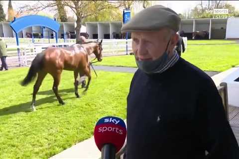 Shock 150-1 winner to open season at Windsor as Arboy Will stuns punters despite pre-race scare and ..