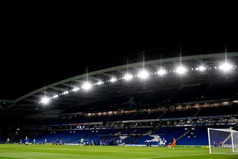 Premier League clubs set to join forces to boycott social media in stand against vile racists after ..