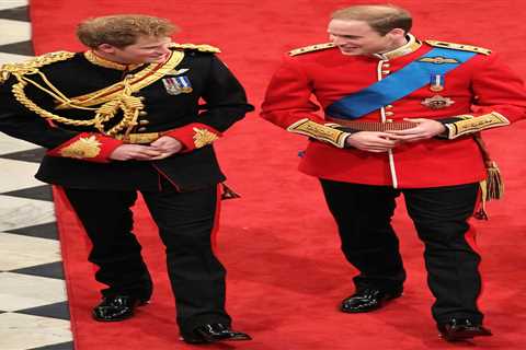 Prince Harry contacts William, Charles, Beatrice and Eugenie to ‘park any disputes’ before Prince..