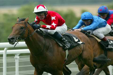 Manchester United named horse racing’s favourite football club due to Fergie factor and Rock Of..