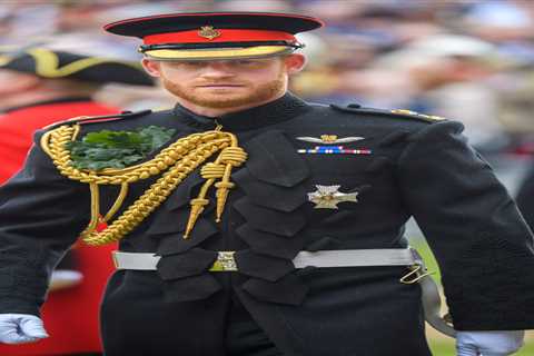 Prince Harry and Andrew’s ‘shameful tantrums’ over uniform for Philip’s funeral ‘unhelpful’ for..