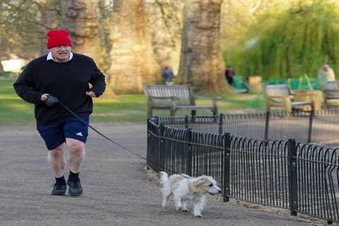 Tories take whopping 14 POINT lead over Labour amid soaraway vaccine rollout – deepening Sir Keir..