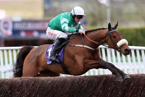 Davy Russell heartbroken and racing fans pay tribute as dual Cheltenham Festival winner Presenting..
