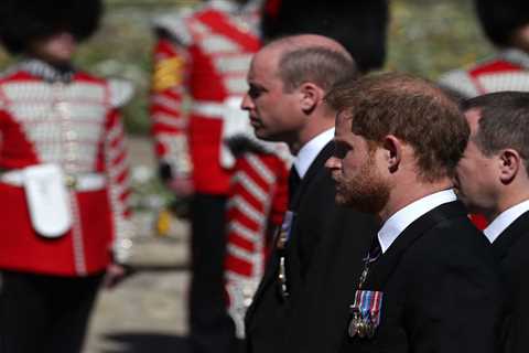 Meghan Markle’s pal Gayle King says Prince Harry and William would set ‘family differences aside’..
