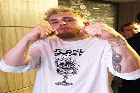 The Paul brothers’ amazing feud, from Logan rapping about sex with Jake’s girlfriend to Floyd..