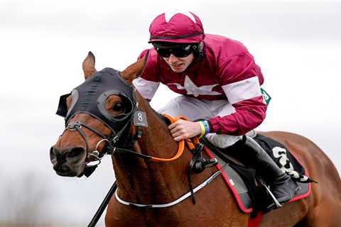 Tiger Roll set for shock Sandown run in Oaksey Chase with Grand National hero ‘fantastic’ after..