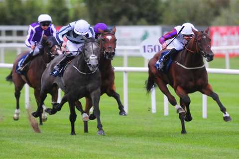 Leading owner John Dance – whose best horse Laurens won six Group 1s – returns to racing with..