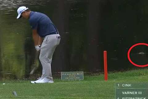 Terrifying moment alligator creeps up on Collin Morikawa as he takes shot leaving commentators..