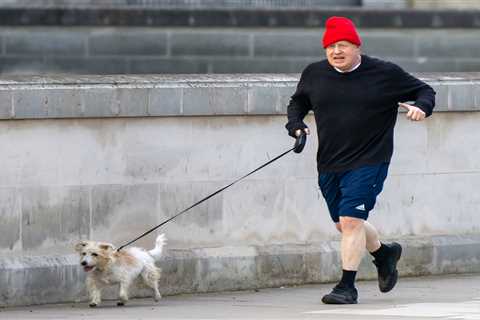 Boris Johnson launches Strava style keep-fit competition to lure activists into pounding the..