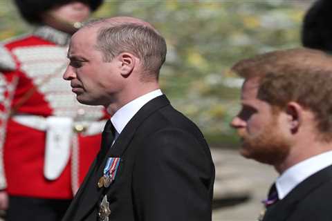 Prince Harry and William should end their ‘stupid’ feud right now, Sun Royal photographer Arthur..